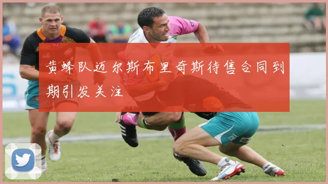 黄蜂队迈尔斯布里奇斯待售合同到期引发关注